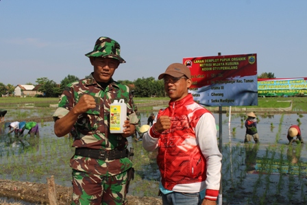 Pupuk Organik Nutrition Wijaya Kusuma Di Lahan Persawahan Desa Kedungbanjar